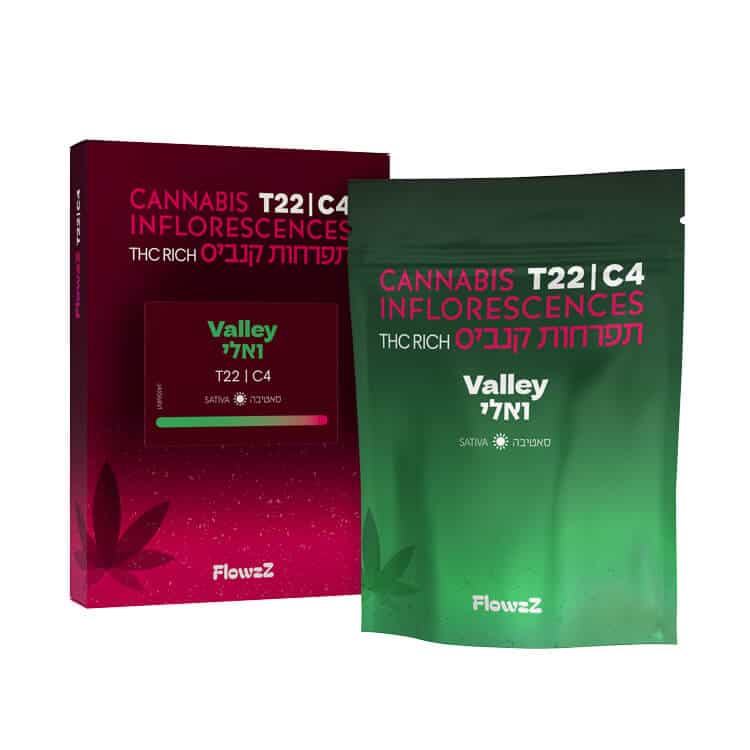 רד פי סמול - אינדיקה T22/C4