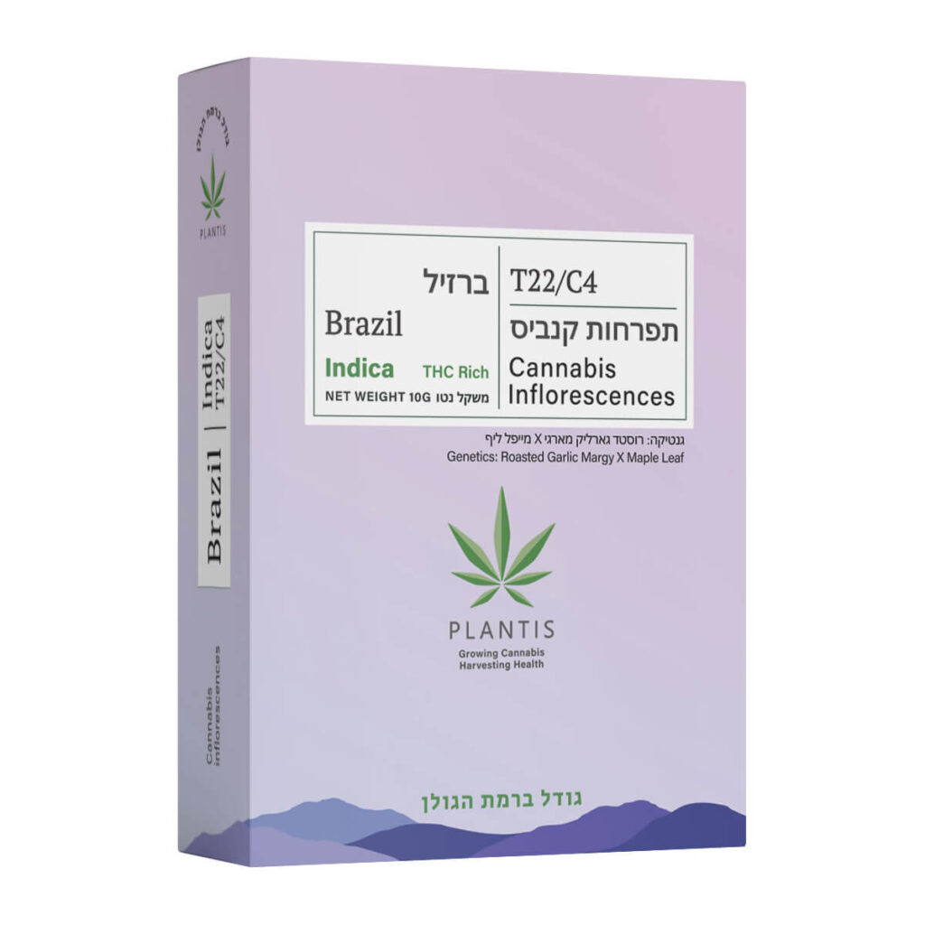 ברזיל (Brazil)