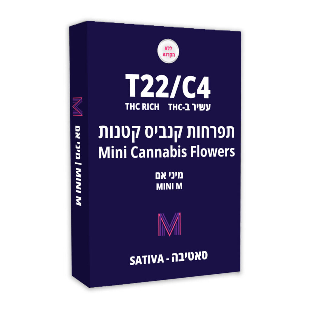 מיני אם (Mini M)