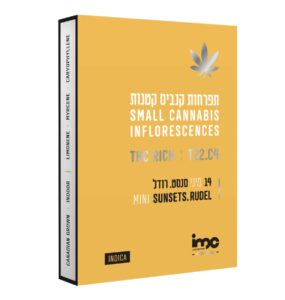 סנסט רודל מיני