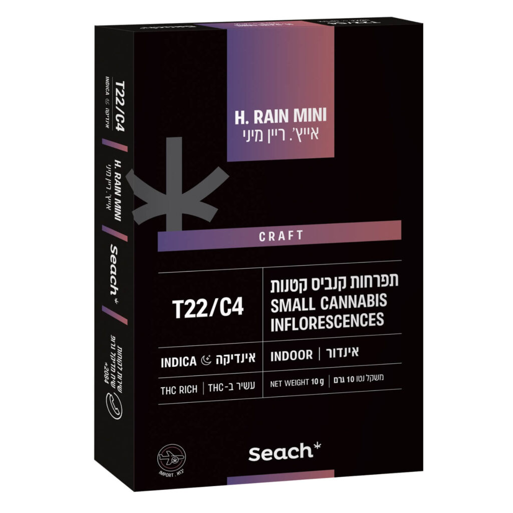 אייץ' ריין מיני (HRain Mini)