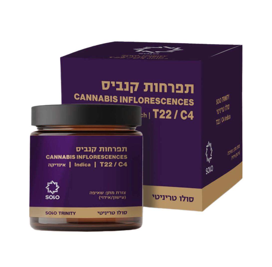 סולו טריניטי (SOLO Trinity)