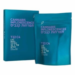 אל וי סי (LVC)