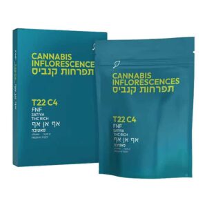 אף אן אף (FNF)