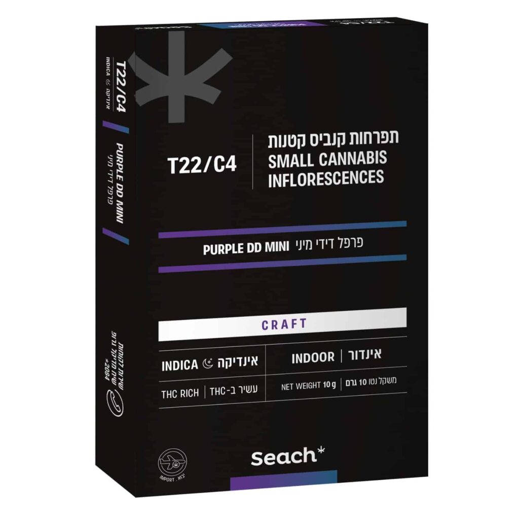 פרפל דידי מיני (Purple DD Mini)