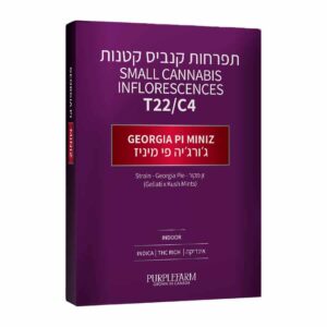 ג'ורג'יה פי מיניז (Georgia Pi Miniz)
