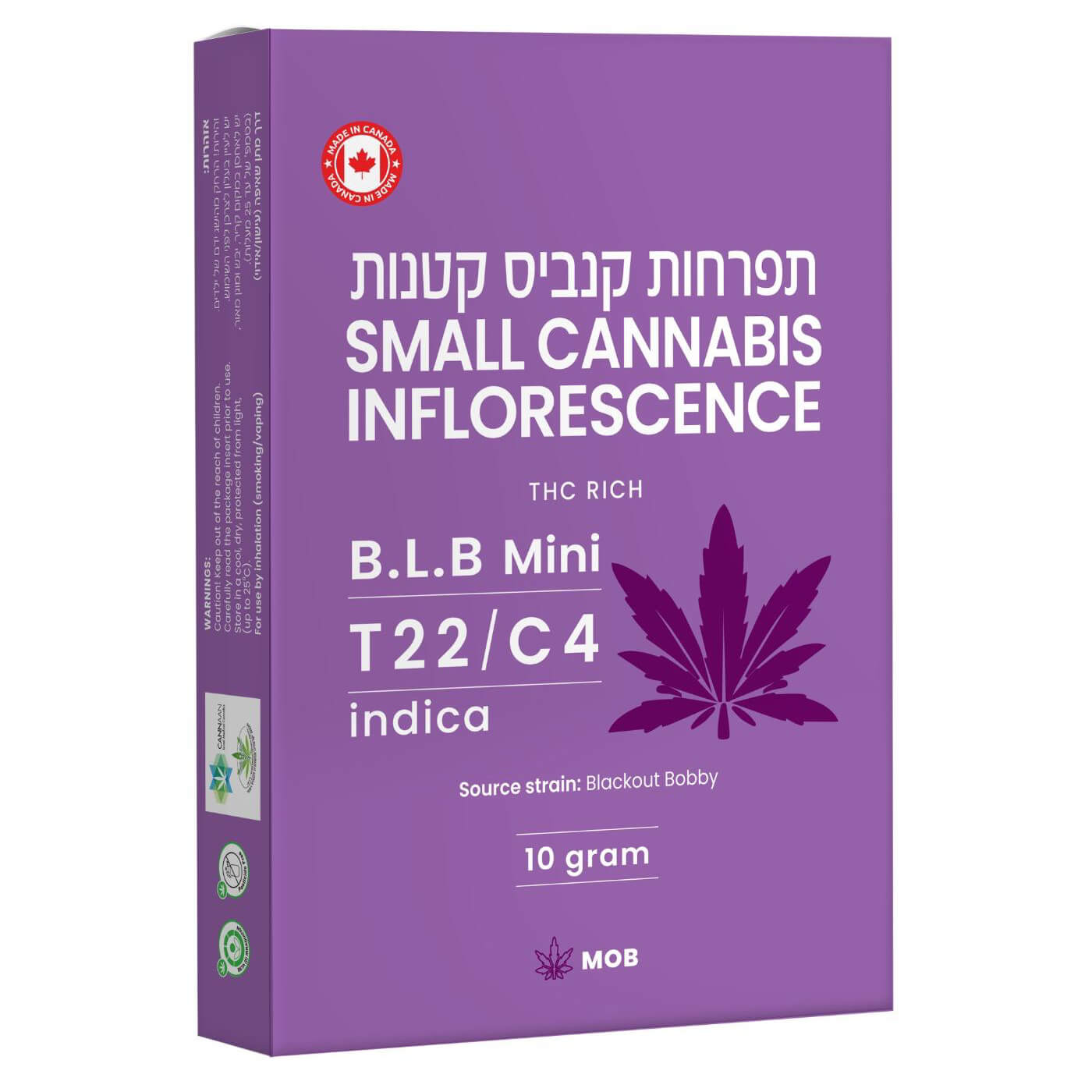 בי אל בי מיני (B.L.B Mini)