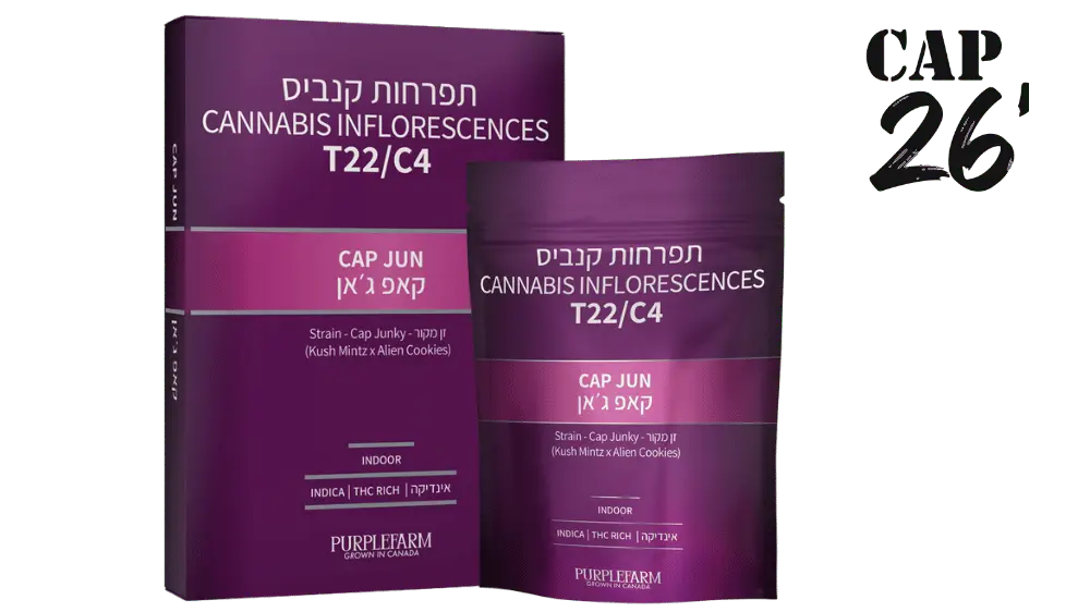 קנאביס רפואי קאפ גאן פרפל פארם